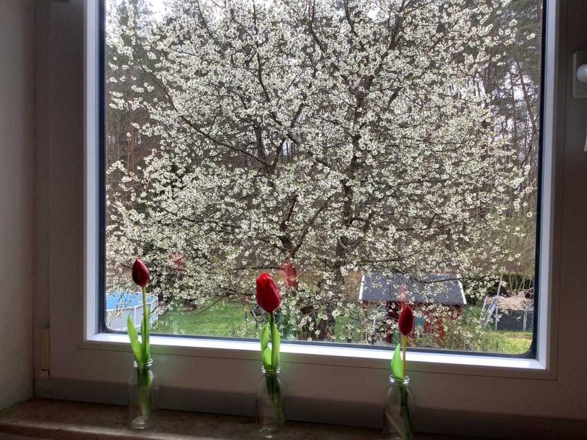Ferienwohnung Schwarzachhoehe Nur Fuer Erwachsene Wendelstein Esterno foto